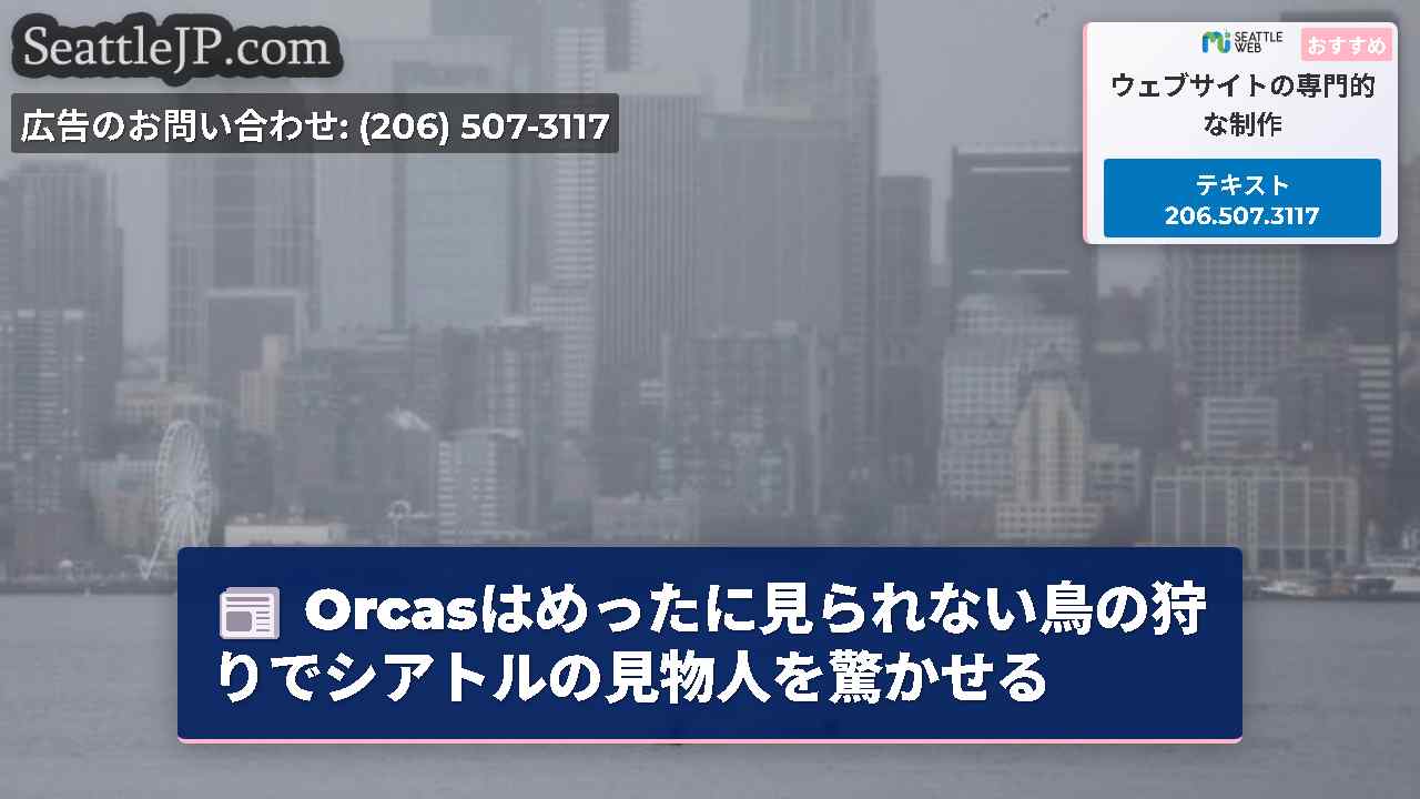 シアトルニュース SeattleJP