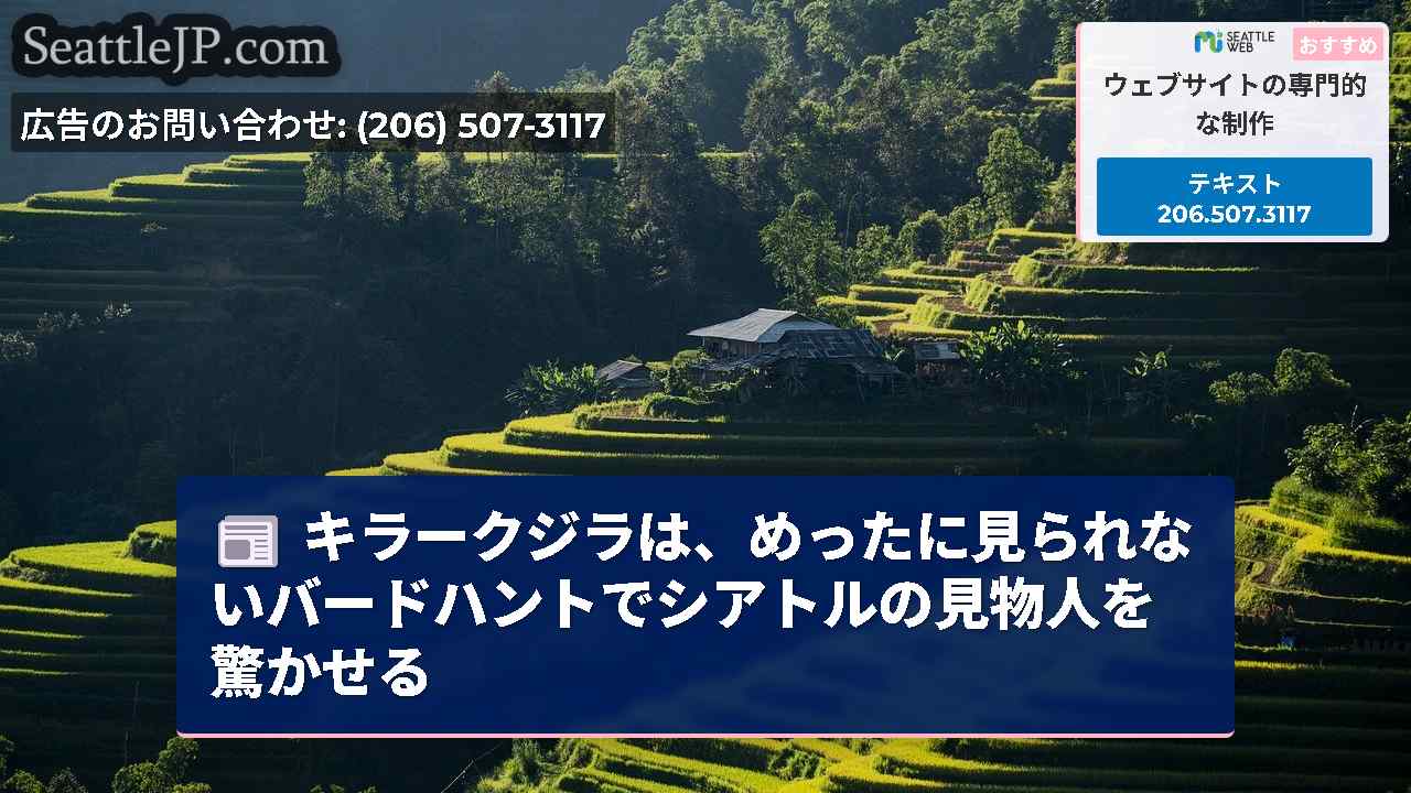 シアトルニュース SeattleJP
