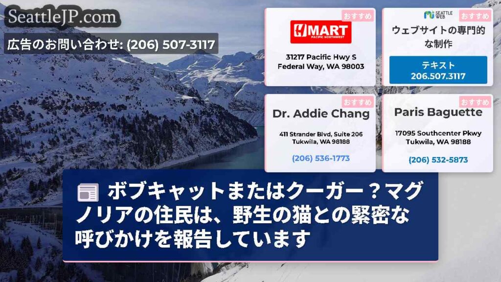 ボブキャットまたはクーガー？マグノリアの住民は、野生の猫との緊密な呼びかけを報告しています