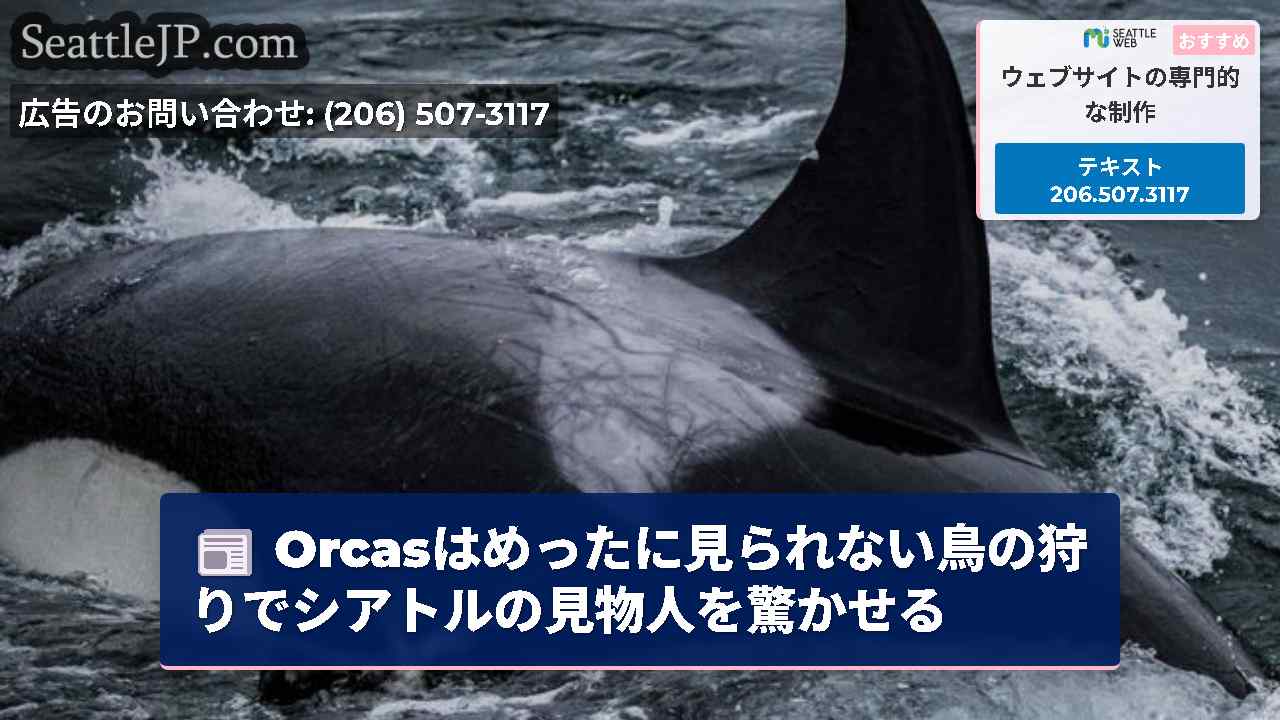 シアトルニュース SeattleJP