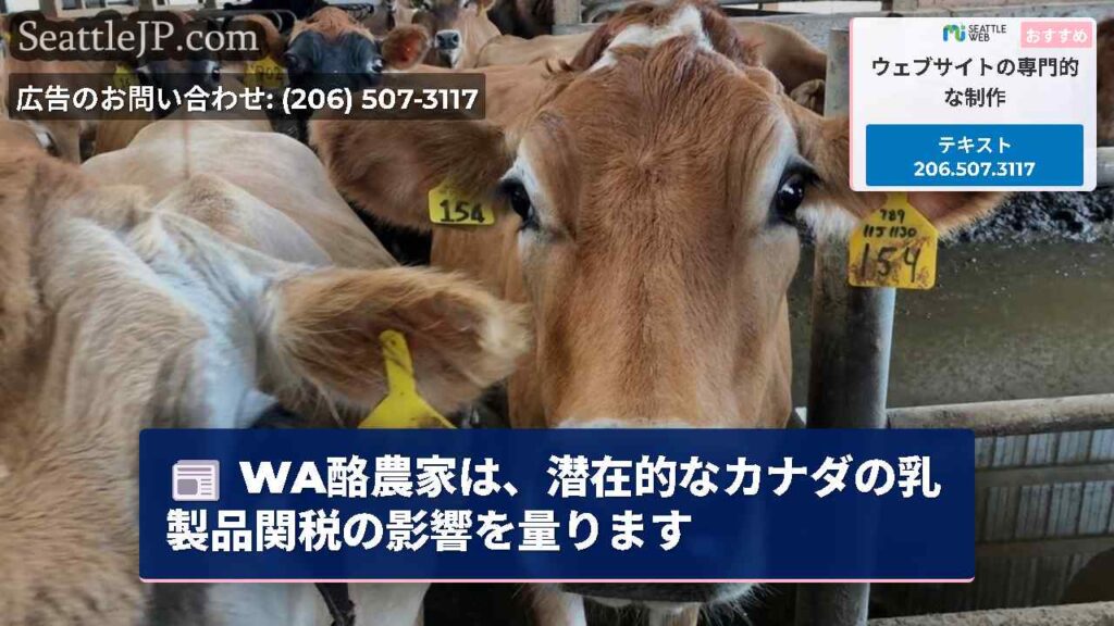 WA酪農家は、潜在的なカナダの乳製品関税の影響を量ります