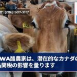 WA酪農家は、潜在的なカナダの乳製品関税の影響を量ります