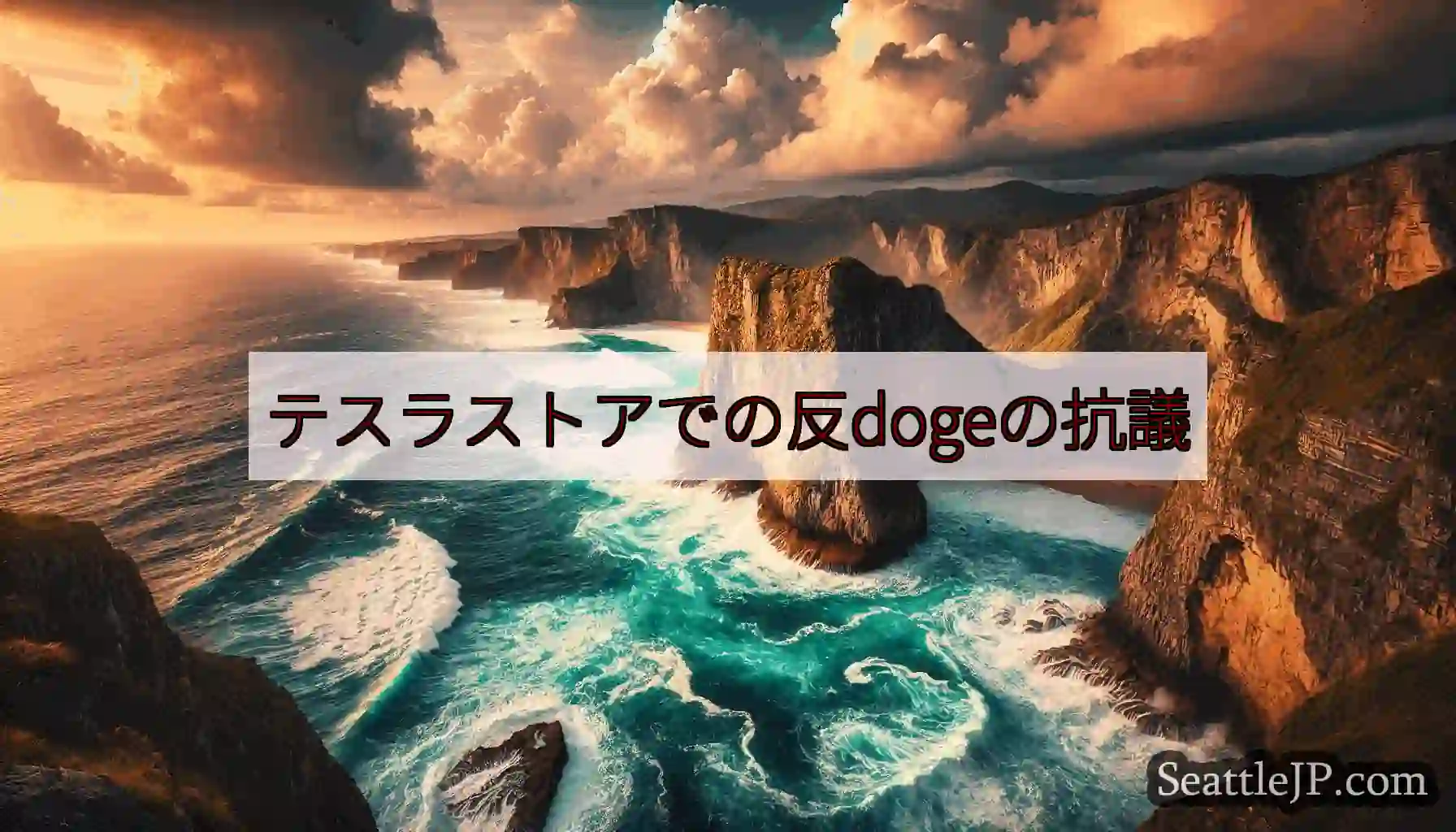 テスラストアでの反dogeの抗議