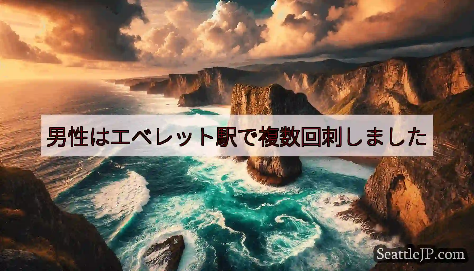 男性はエベレット駅で複数回刺しました