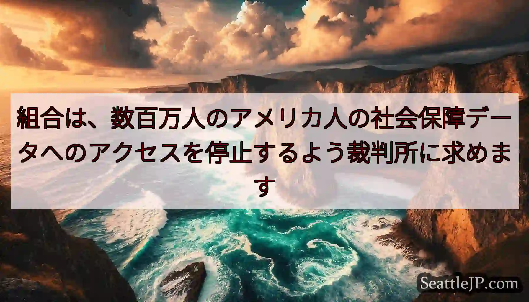 組合は、数百万人のアメリカ人の社会保障データへのアクセスを停止するよう裁判所に求めます
