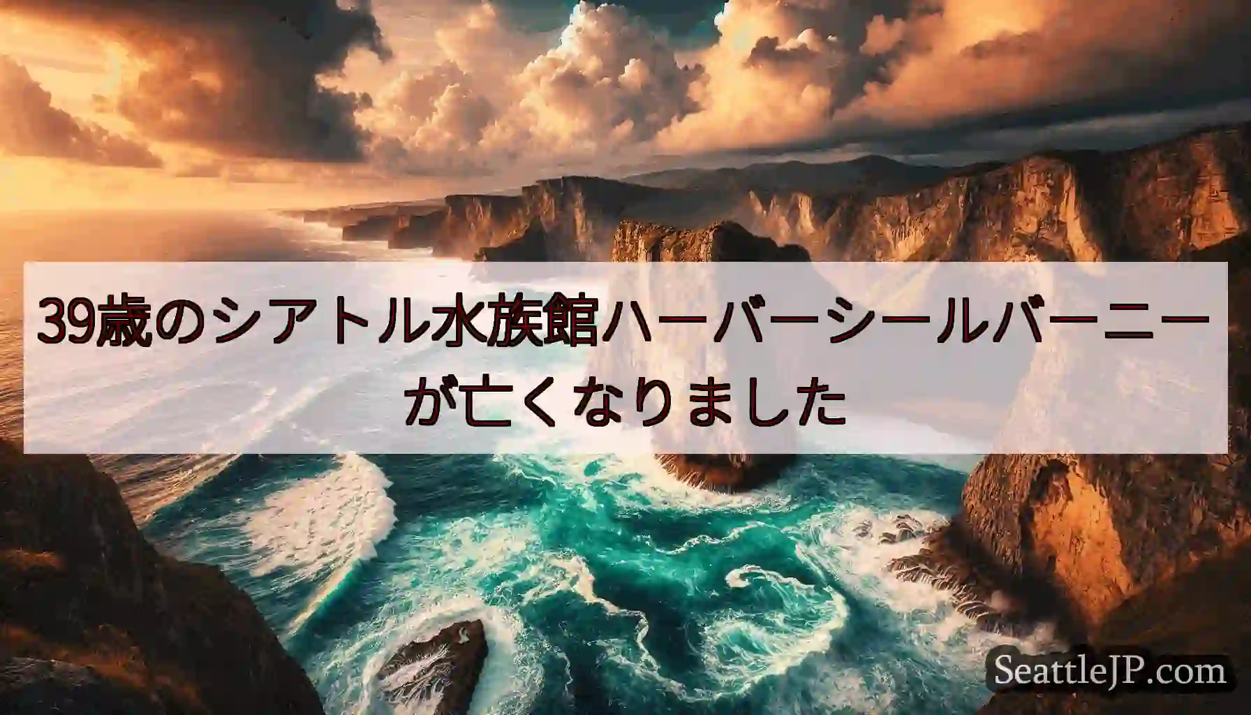 39歳のシアトル水族館ハーバーシールバーニーが亡くなりました