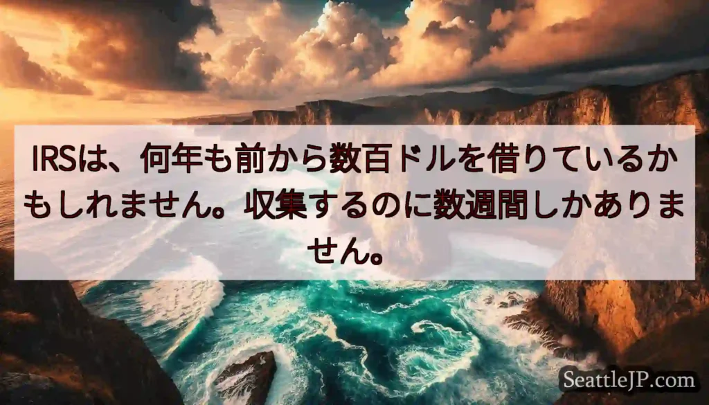 IRSは、何年も前から数百ドルを借りているかもしれません。収集するのに数週間しかありません。