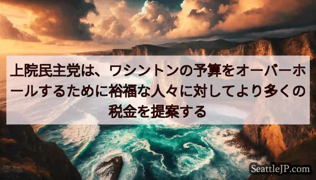 上院民主党は、ワシントンの予算をオーバーホールするために裕福な人々に対してより多くの税金を提案する