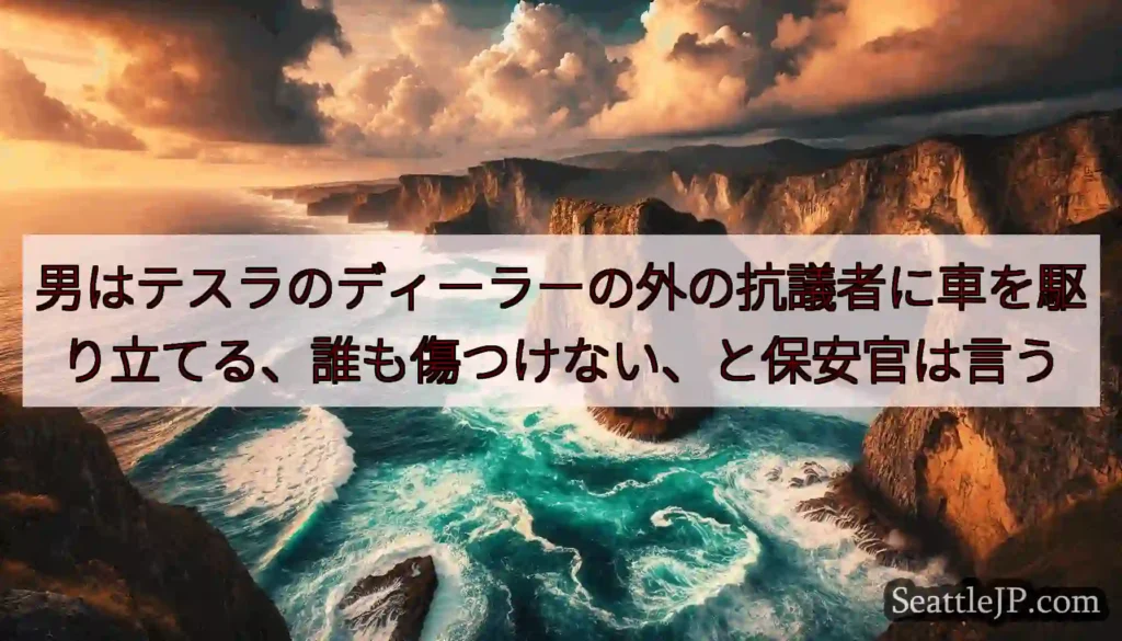 男はテスラのディーラーの外の抗議者に車を駆り立てる、誰も傷つけない、と保安官は言う