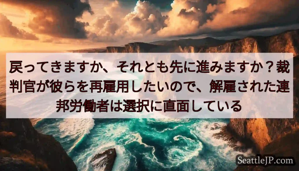 戻ってきますか、それとも先に進みますか？裁判官が彼らを再雇用したいので、解雇された連邦労働者は選択に