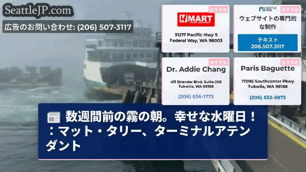 数週間前の霧の朝。幸せな水曜日！