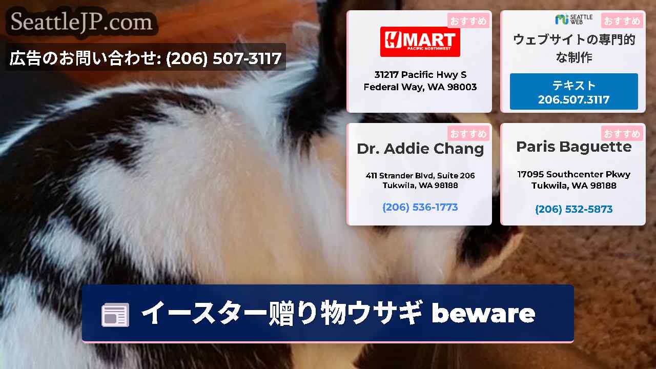 シアトルニュース SeattleJP