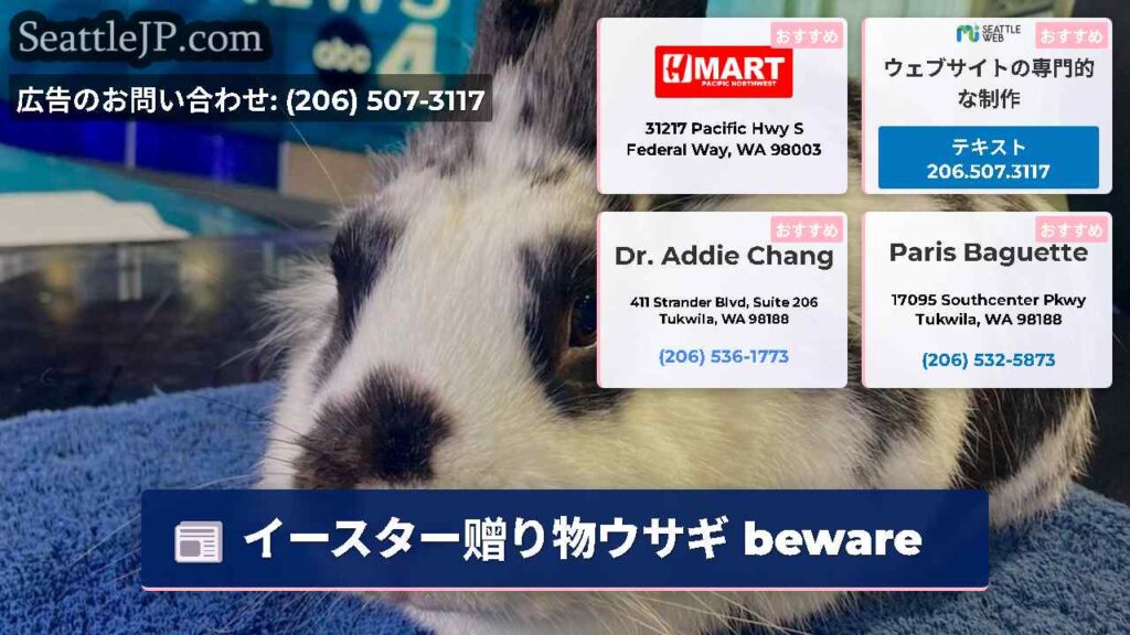 イースター赠り物ウサギ beware
