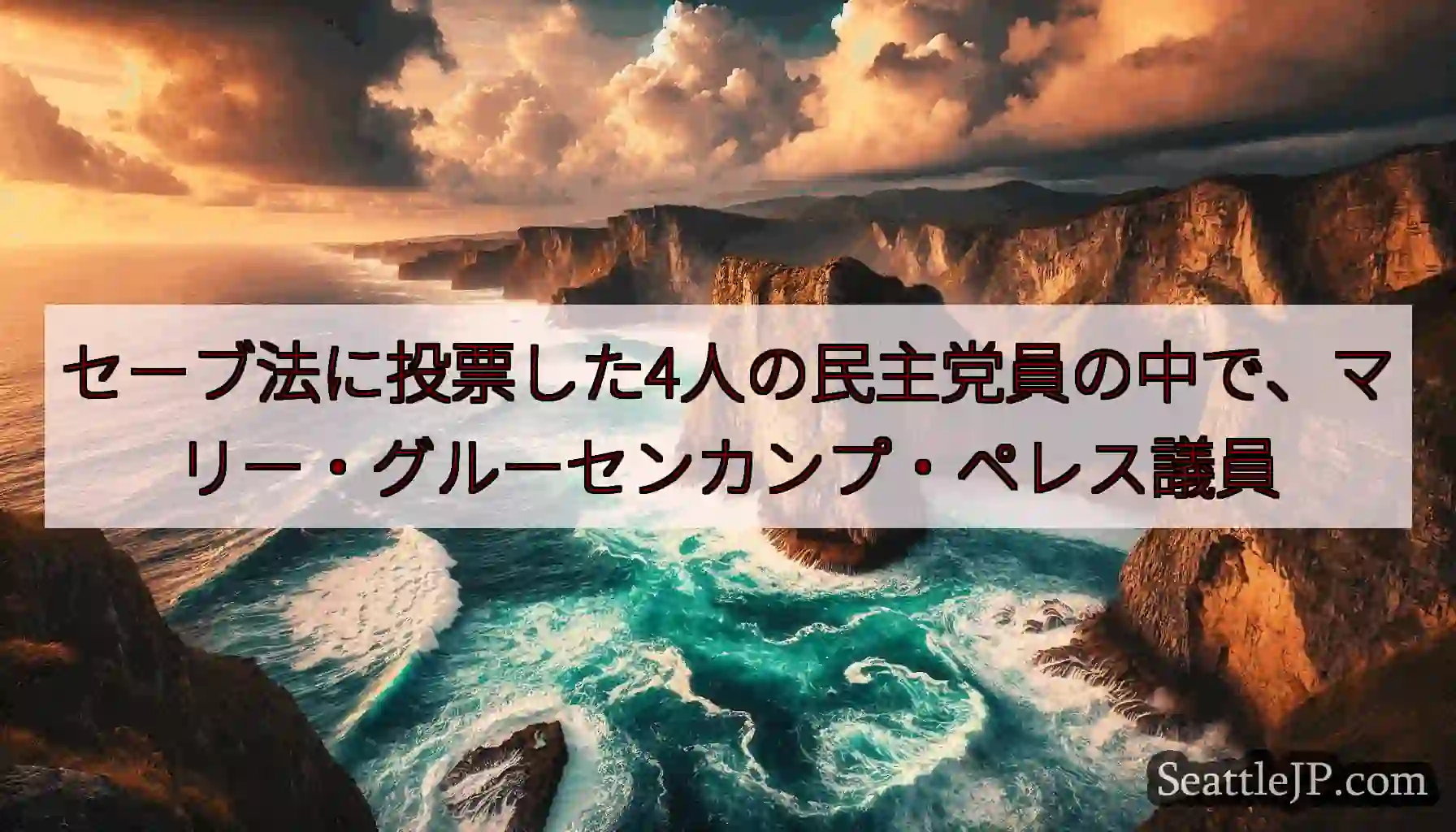セーブ法に投票した4人の民主党員の中で、マリー・グルーセンカンプ・ペレス議員