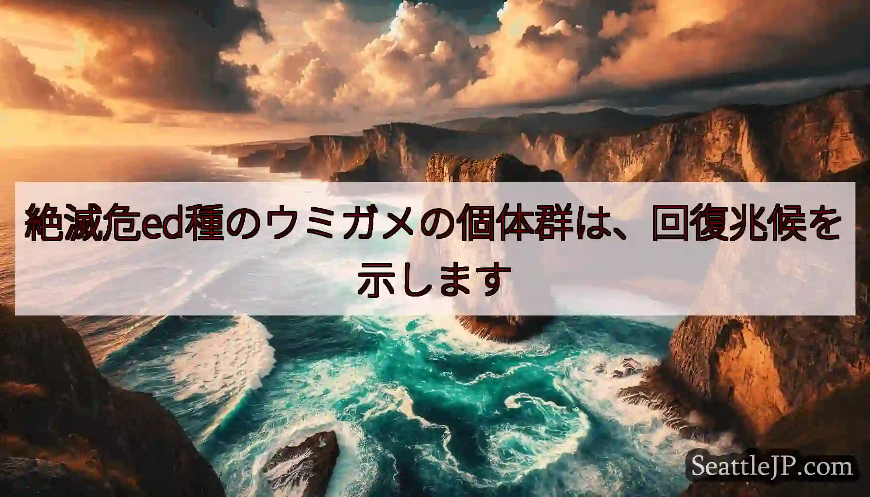絶滅危ed種のウミガメの個体群は、回復兆候を示します