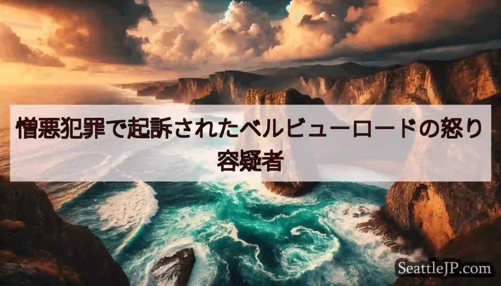 憎悪犯罪で起訴されたベルビューロードの怒り容疑者