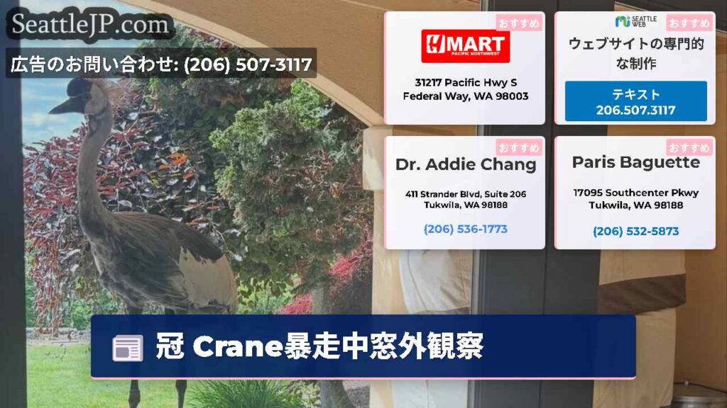 冠 Crane暴走中窓外観察