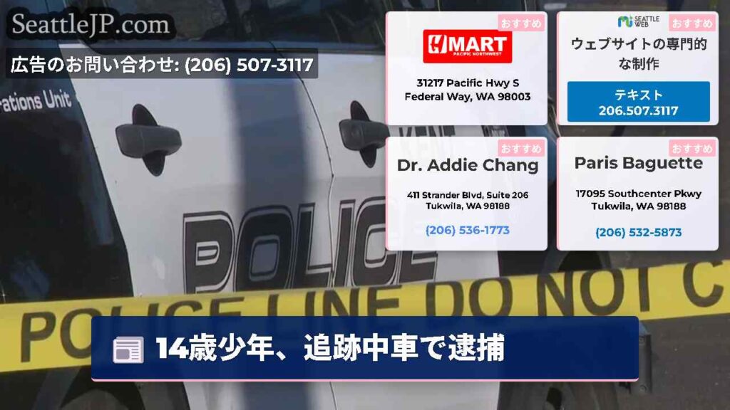 14歳少年、追跡中車で逮捕