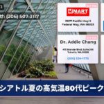 シアトル夏の高気温80代ピーク