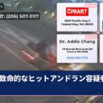 致命的なヒットアンドラン容疑者逮捕