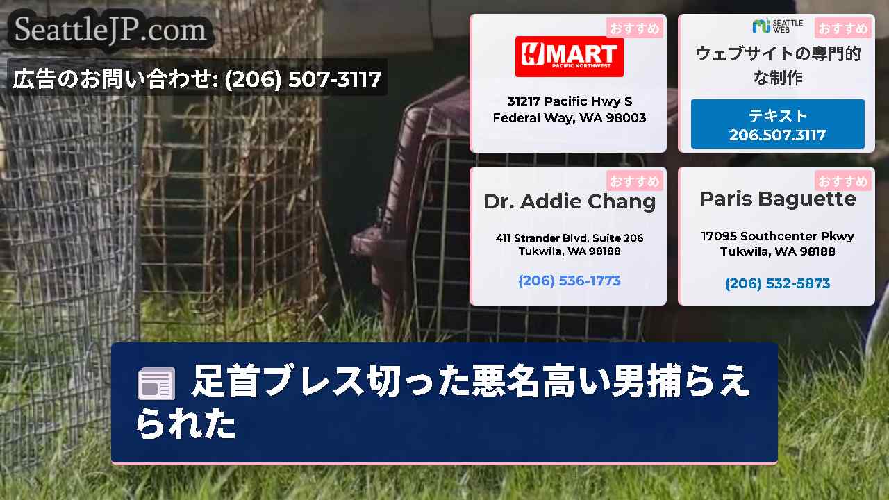 シアトルニュース SeattleJP