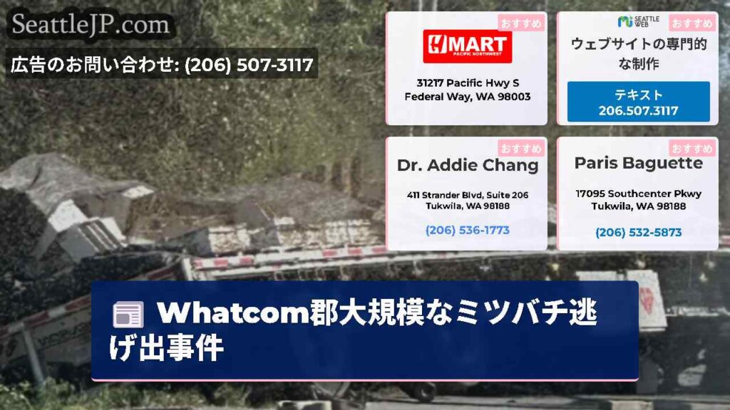 Whatcom郡大規模なミツバチ逃げ出事件