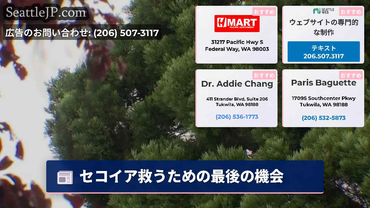 シアトルニュース SeattleJP