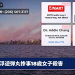 浮遊弾丸惨事18歳女子殺害