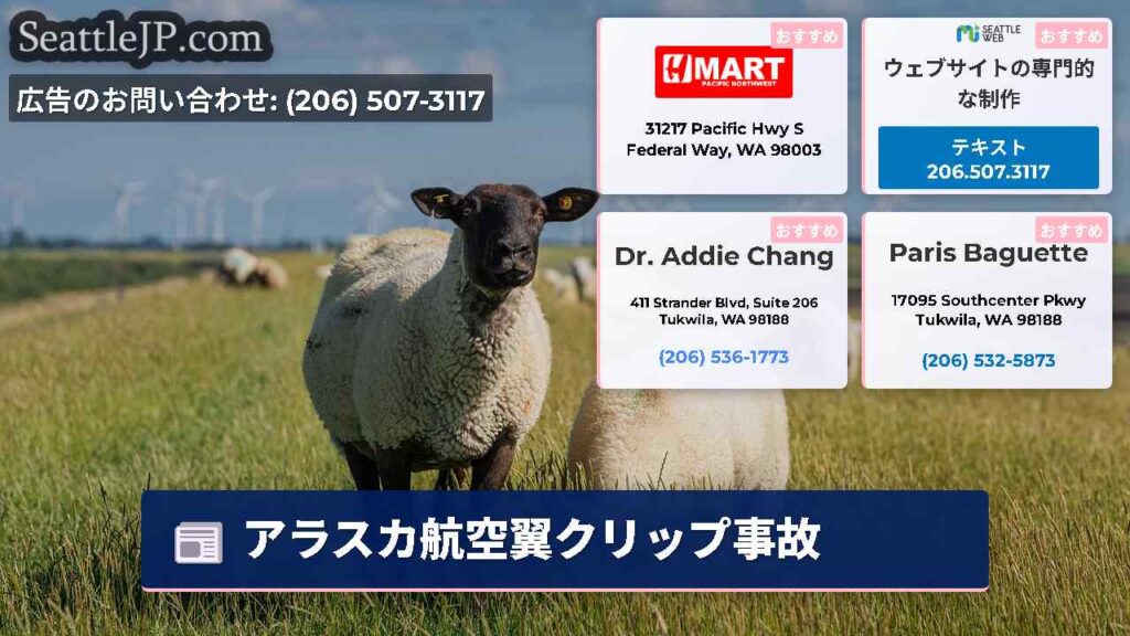 アラスカ航空翼クリップ事故