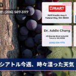シアトル今週、時々湿った天気