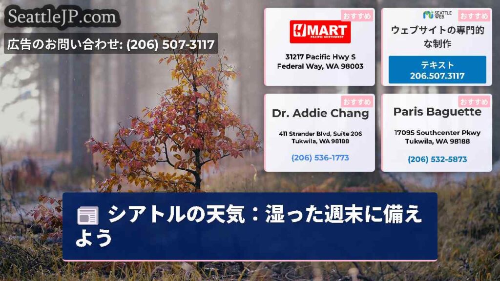シアトルの天気：湿った週末に備えよう