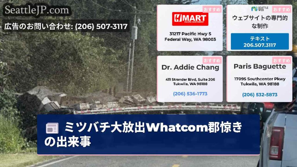 ミツバチ大放出Whatcom郡惊きの出来事