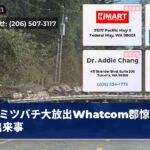 ミツバチ大放出Whatcom郡惊きの出来事