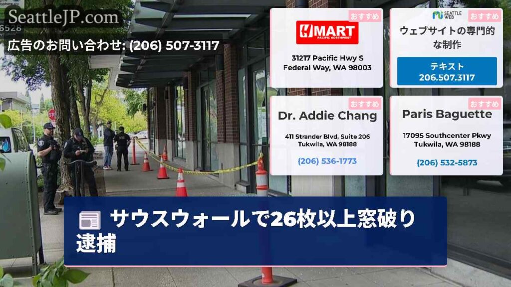 サウスウォールで26枚以上窓破り逮捕