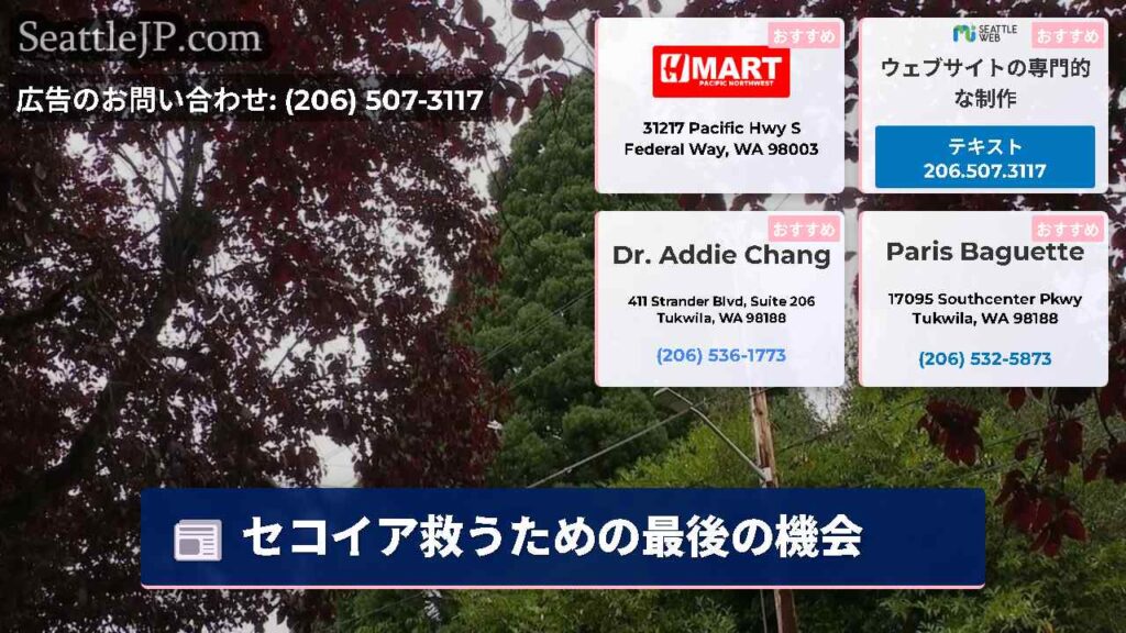セコイア救うための最後の機会