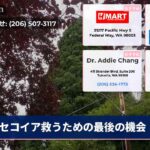 セコイア救うための最後の機会