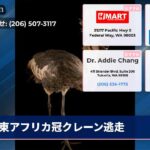 東アフリカ冠クレーン逃走