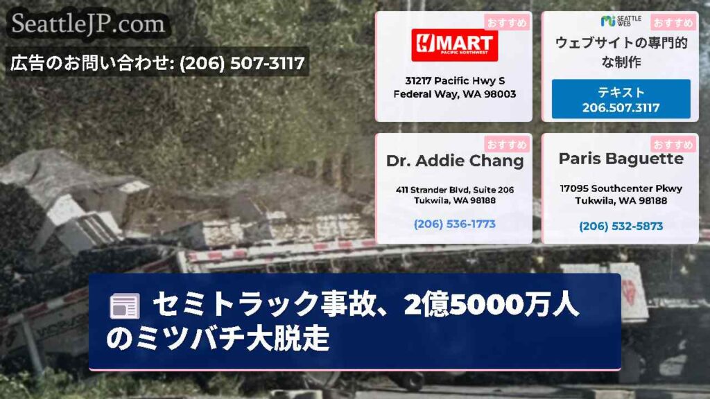セミトラック事故、2億5000万人のミツバチ大脱走