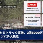 セミトラック事故、2億5000万人のミツバチ大脱走