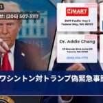 ワシントン対トランプ偽緊急事態訴訟