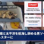 猫と太平洋を航海し辞める男ソーシャルスターに