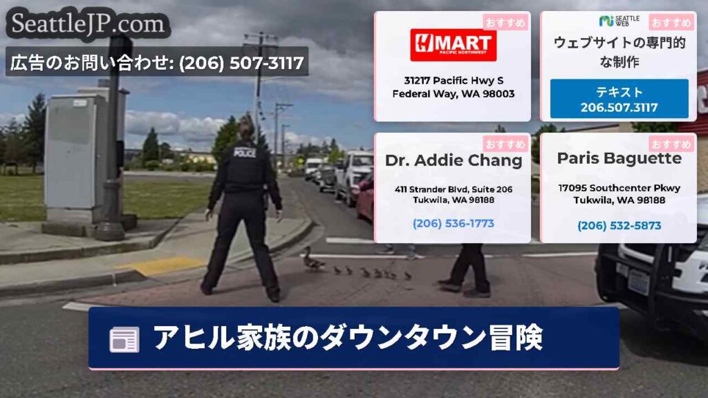 アヒル家族のダウンタウン冒険