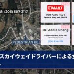 スカイウェイドライバーによる女性殺人