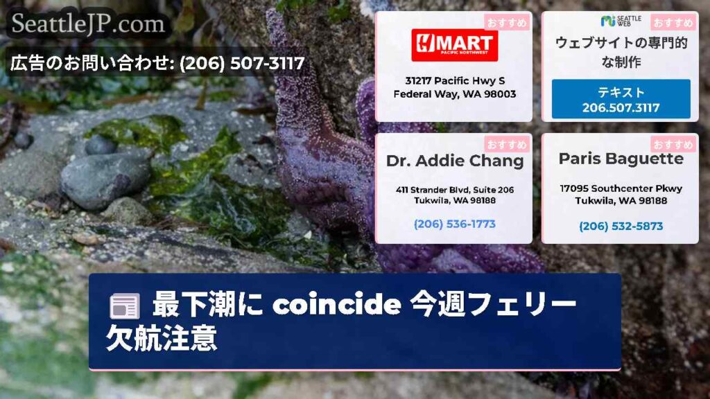 最下潮に coincide 今週フェリー欠航注意