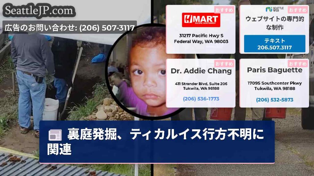 裏庭発掘、ティカルイス行方不明に関連