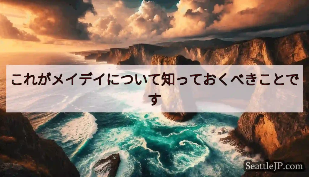 これがメイデイについて知っておくべきことです