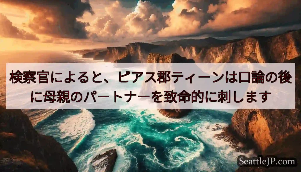検察官によると、ピアス郡ティーンは口論の後に母親のパートナーを致命的に刺します