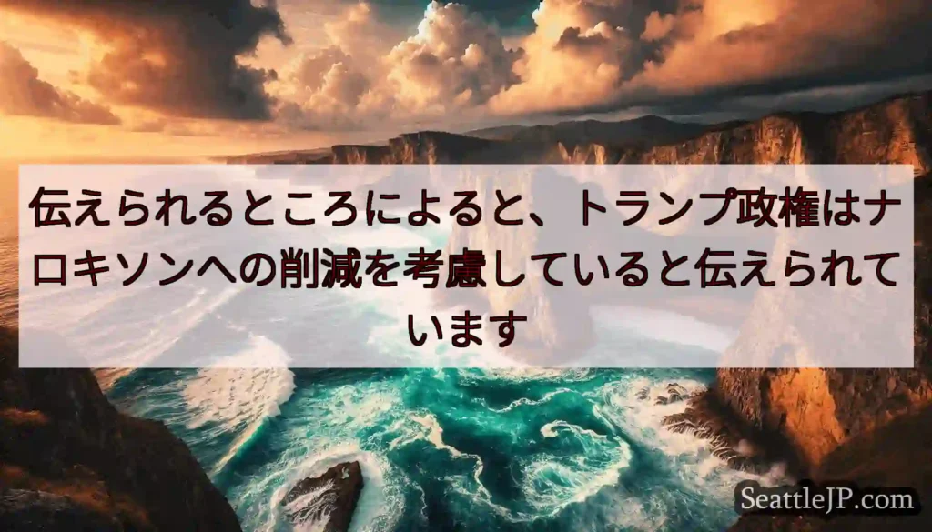 伝えられるところによると、トランプ政権はナロキソンへの削減を考慮していると伝えられています