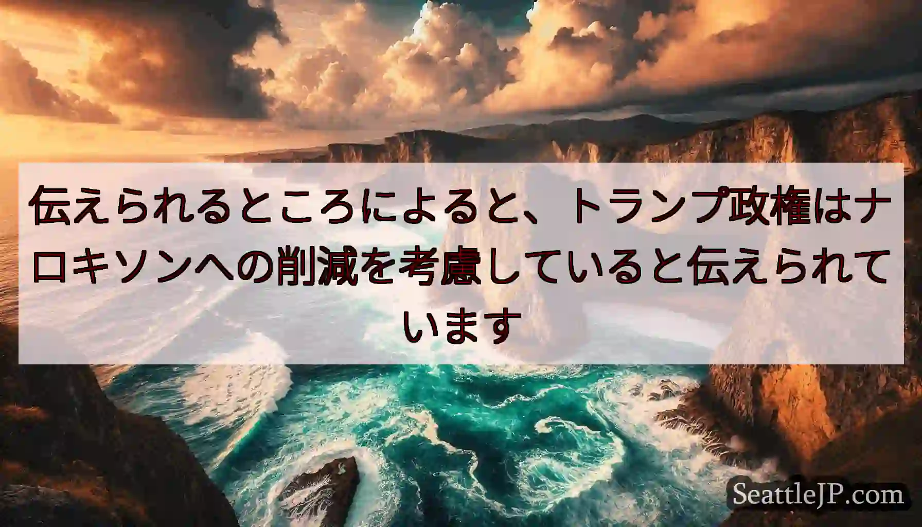 伝えられるところによると、トランプ政権はナロキソンへの削減を考慮していると伝えられています