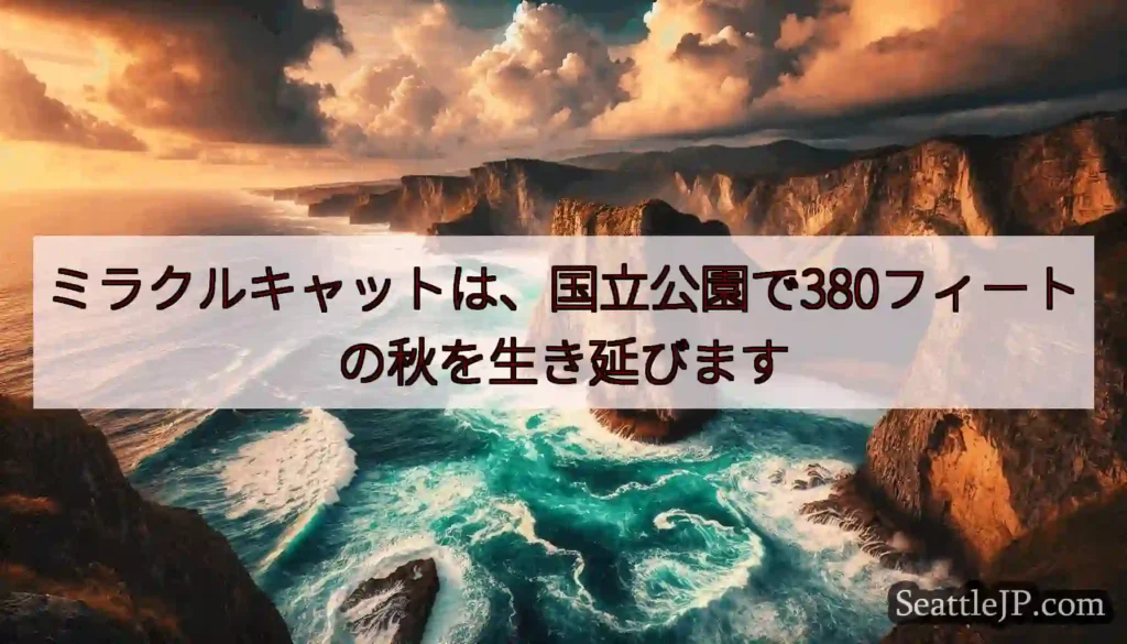 ミラクルキャットは、国立公園で380フィートの秋を生き延びます